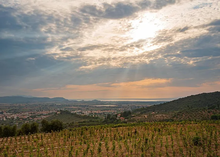 Castello Bonaria Wine & Spa Resort